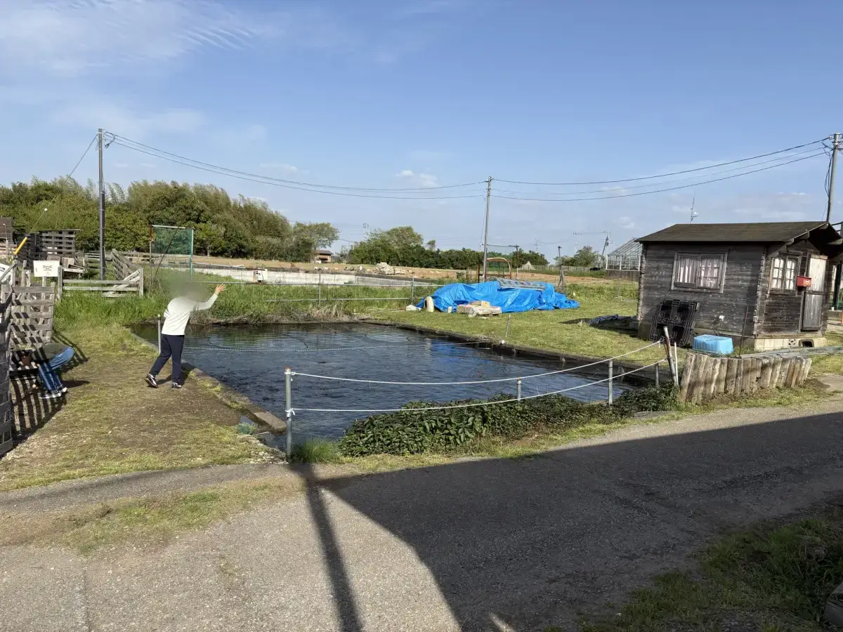 別の池の様子