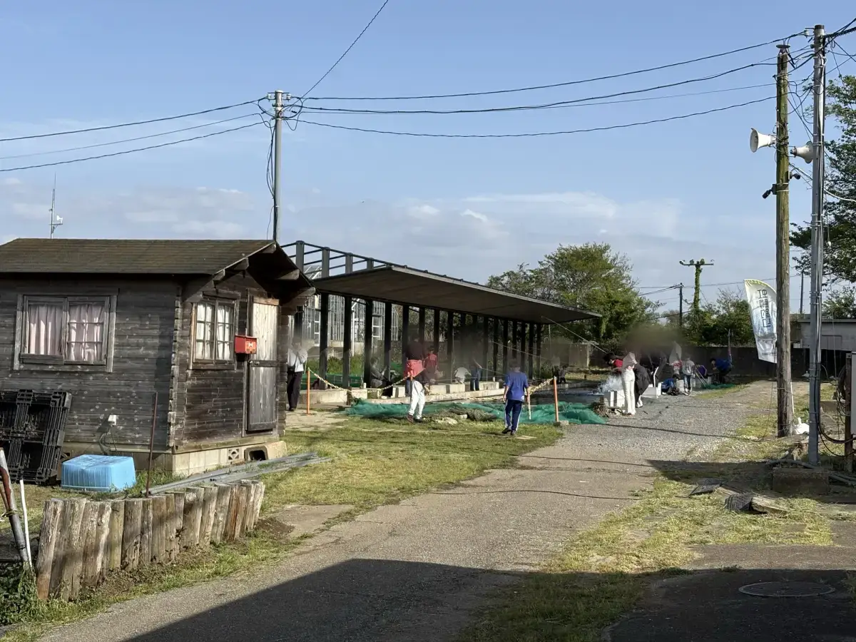 釣り堀を少し離れた場所から見た様子
