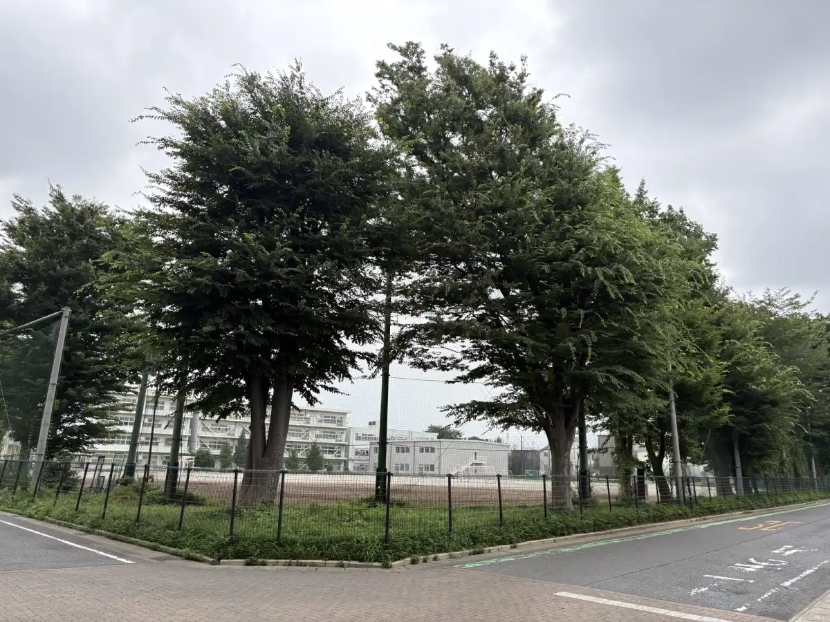 常盤松中学校