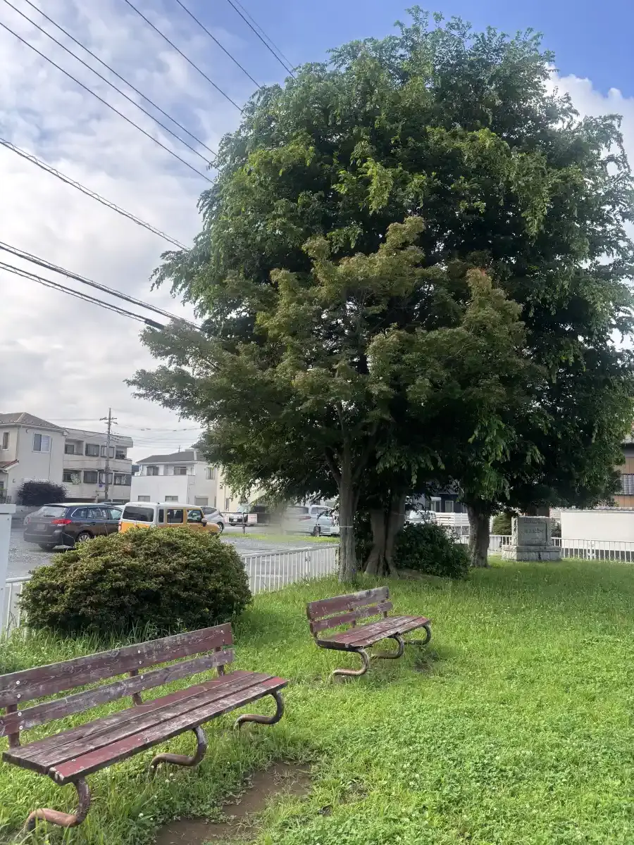 台田法花坊公園のベンチ