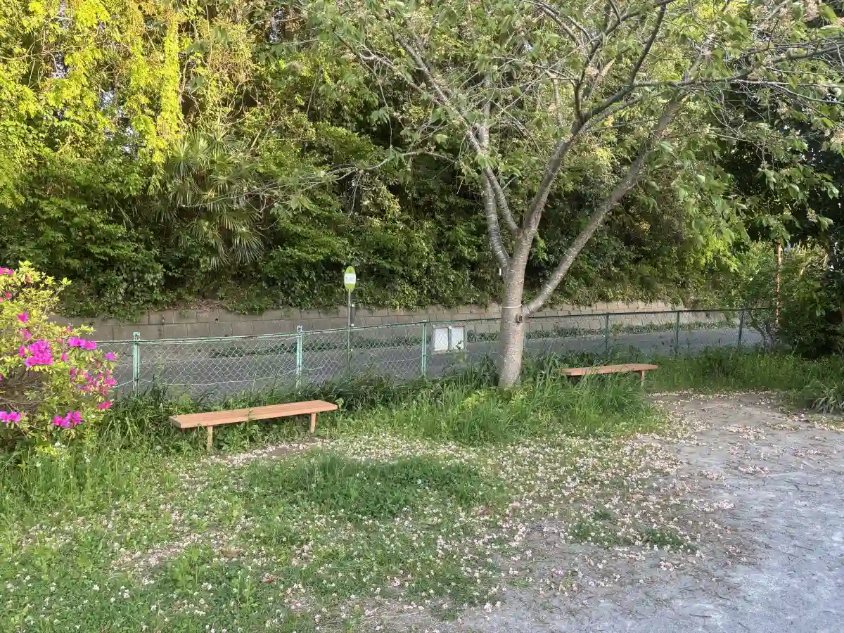 ベンチ