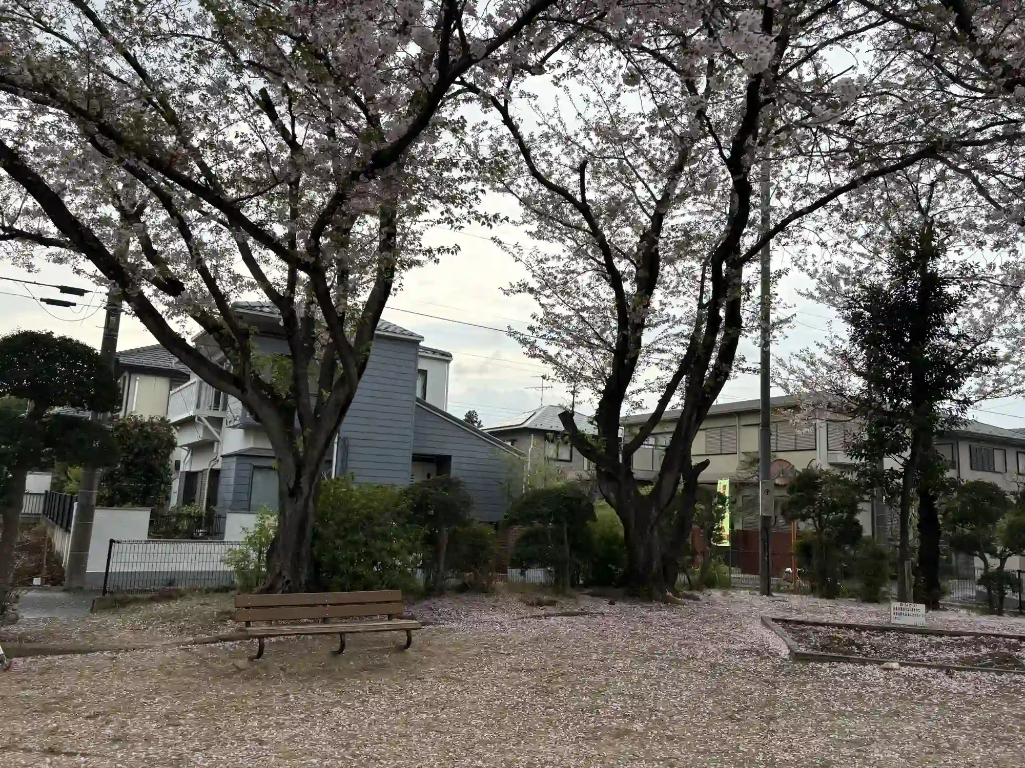 ベンチ