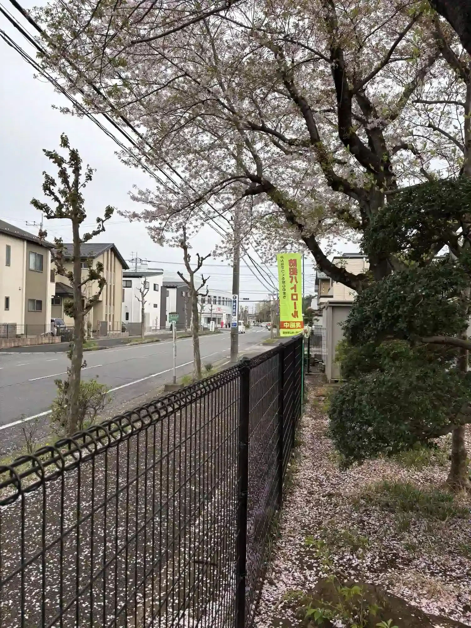 周囲の道路