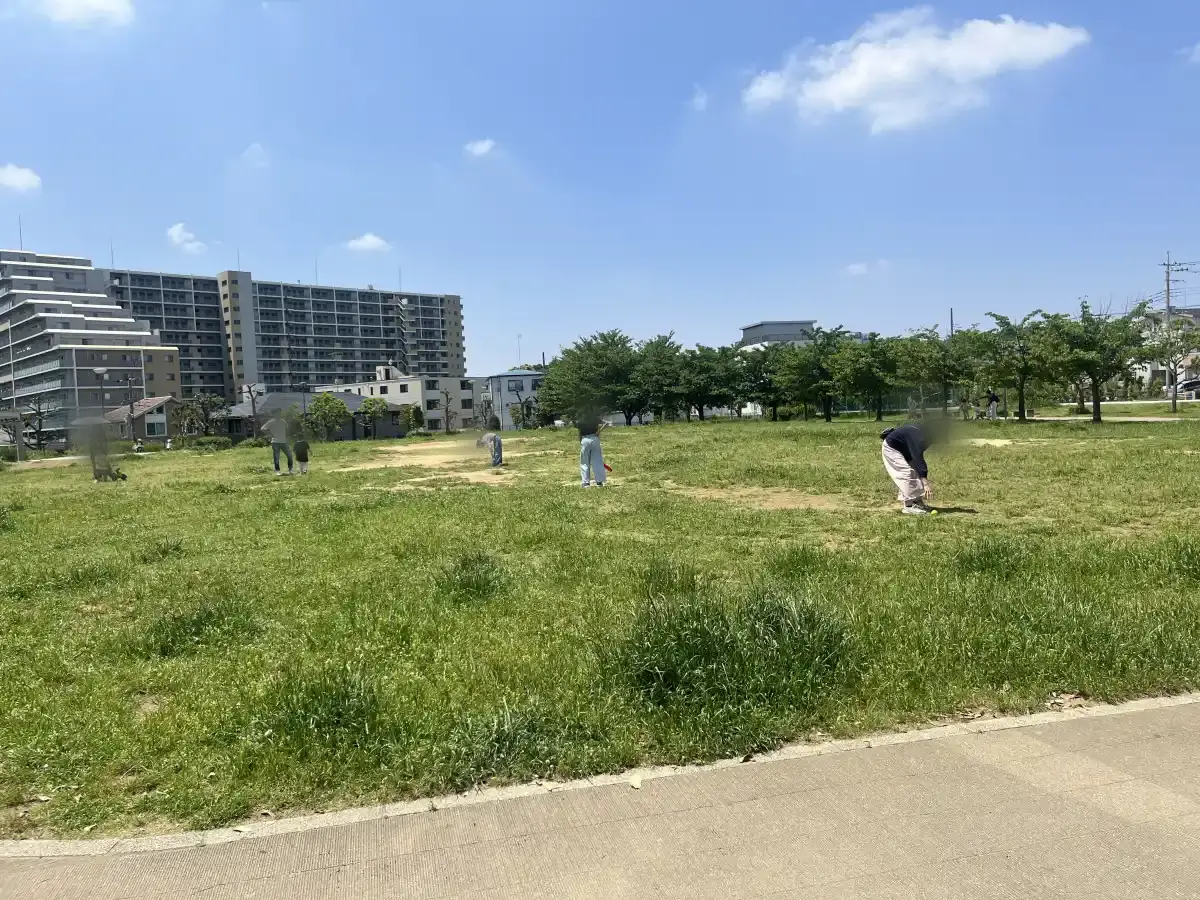 東松戸中央公園の芝生広場