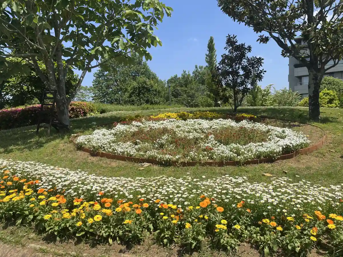 東松戸ゆいの花公園の円形花壇