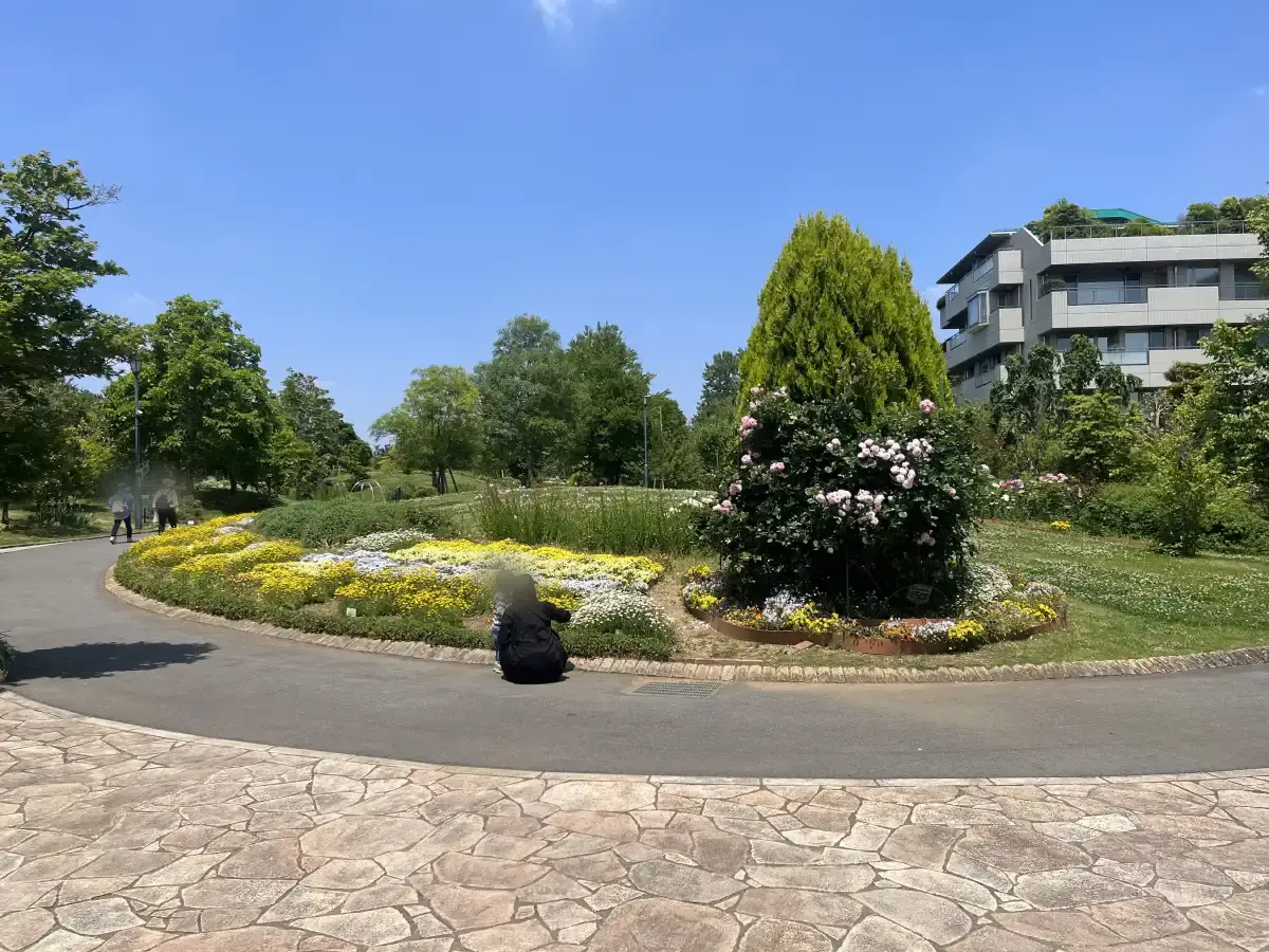 東松戸ゆいの花公園 | 花と芝生でゆっくり過ごせる松戸市の公園
