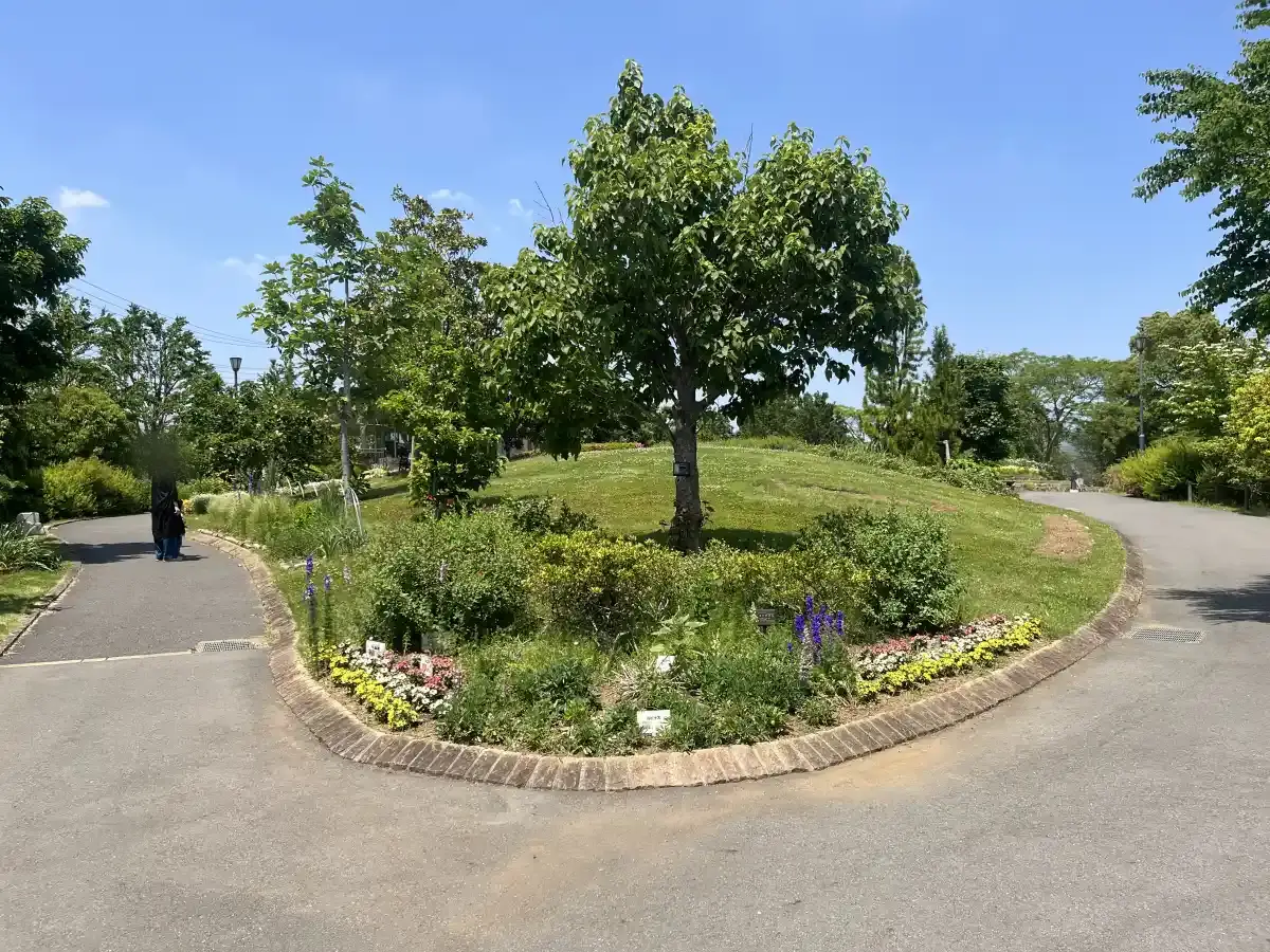 東松戸ゆいの花公園の木がある丘