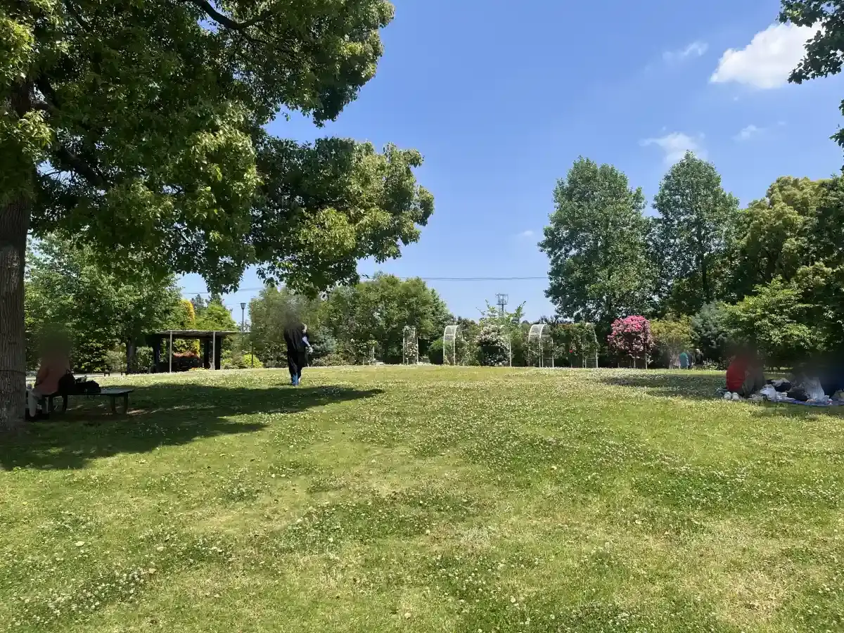 東松戸ゆいの花公園の芝生広場