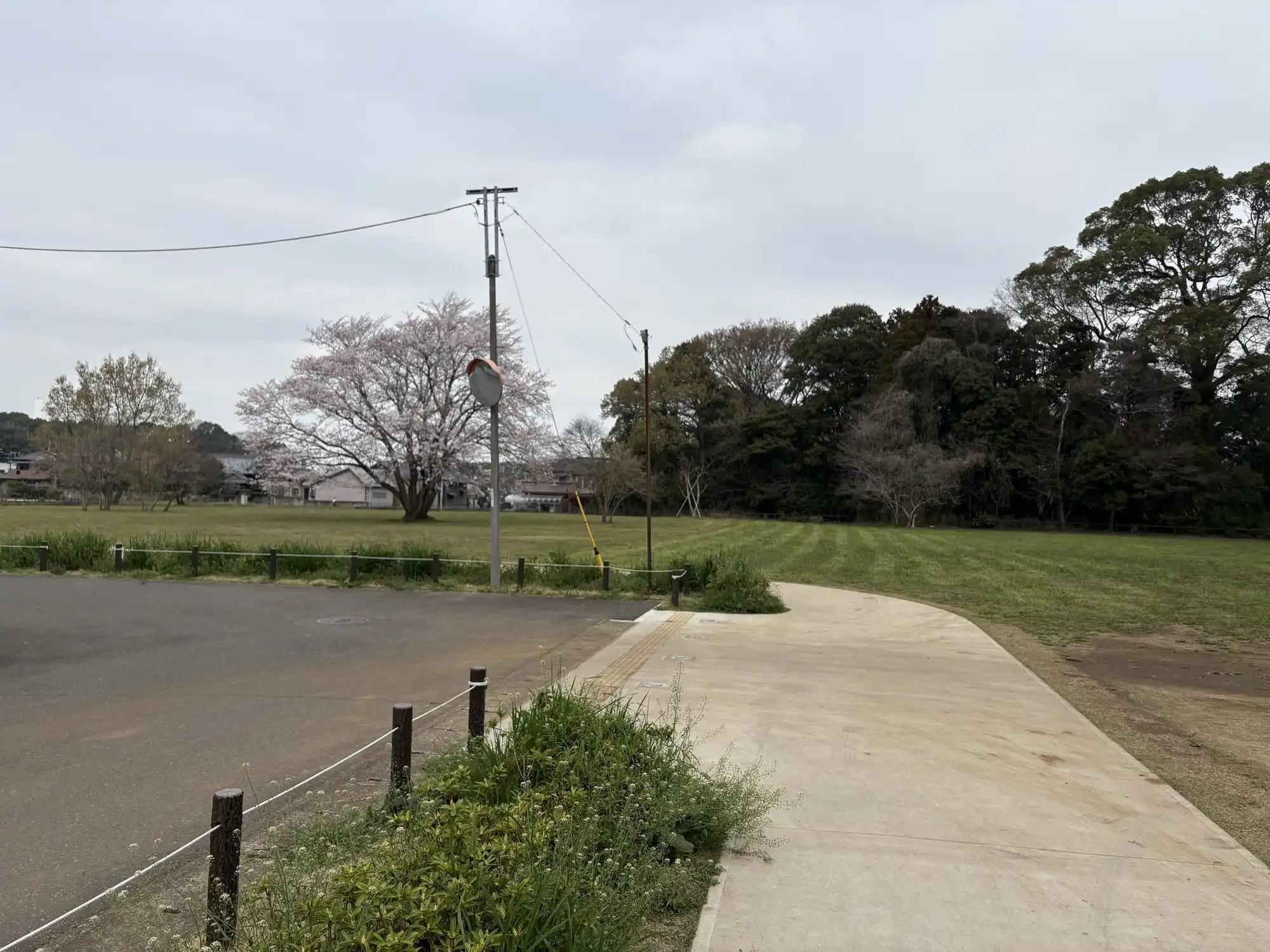 駐車スペースから見た公園全体