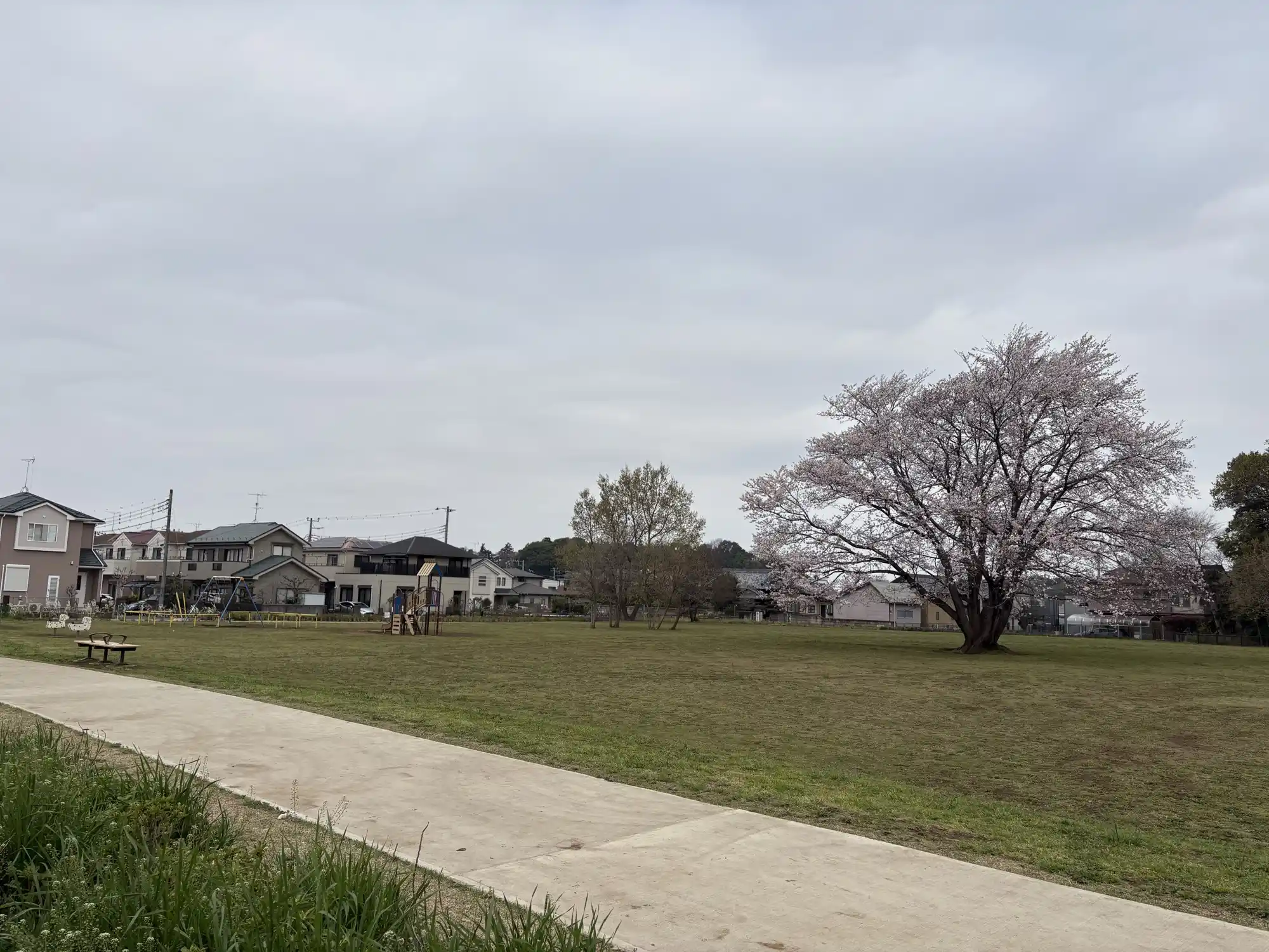 芝生と遊歩道の見通し