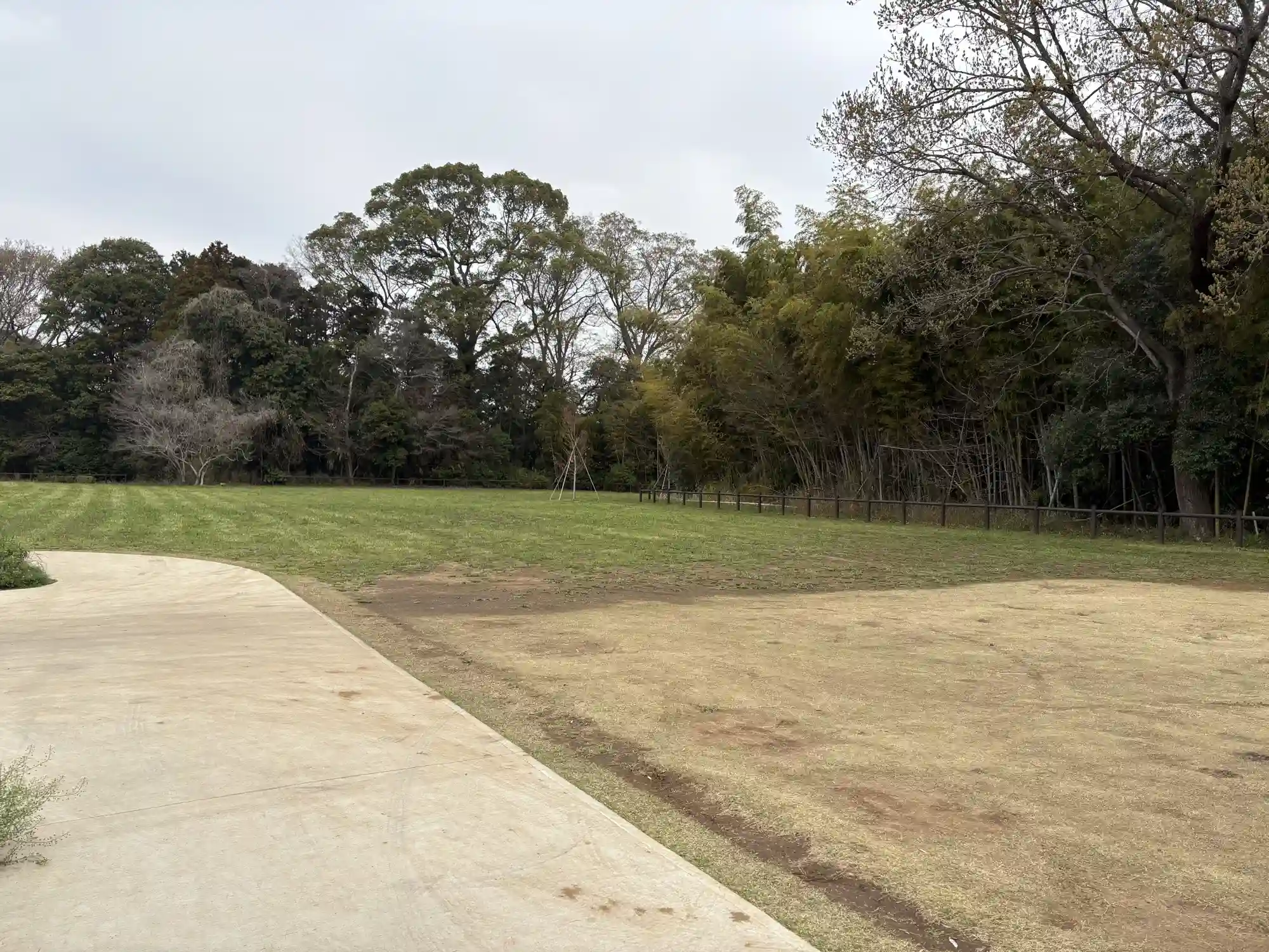 公園内の駐車スペース