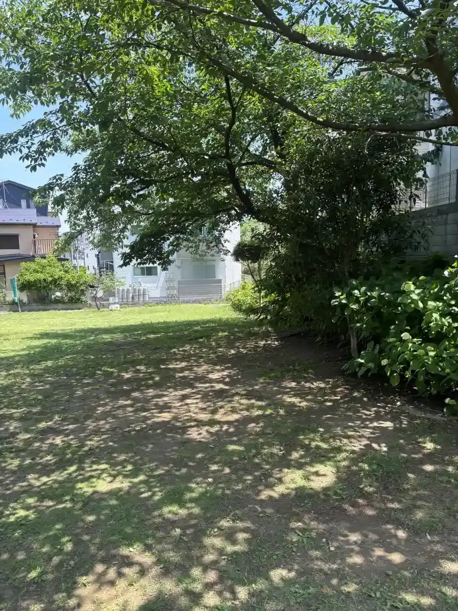 木陰になる場所