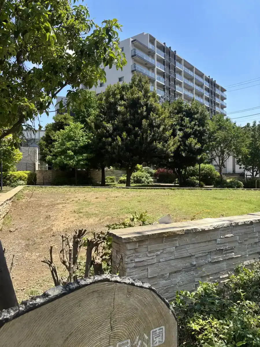 入口側から見た広場