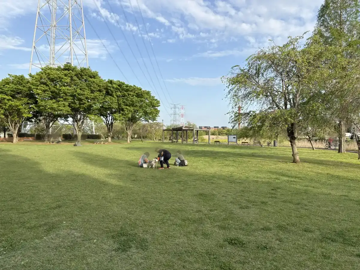 広い芝生広場
