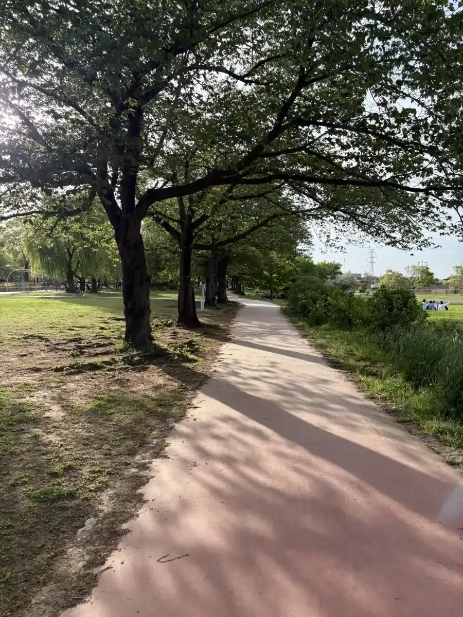 園内の散歩道