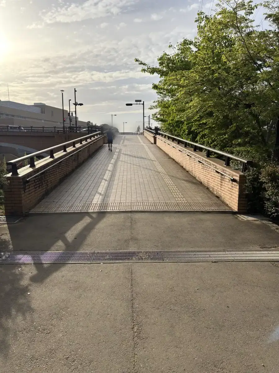 柏ふるさと大橋へ向かう道