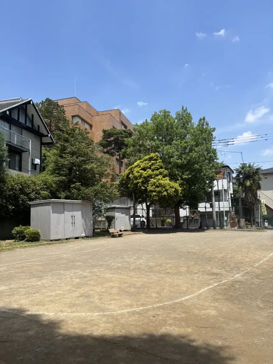 公園中央から見た広場