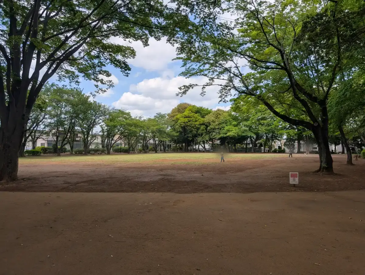 さくら広場