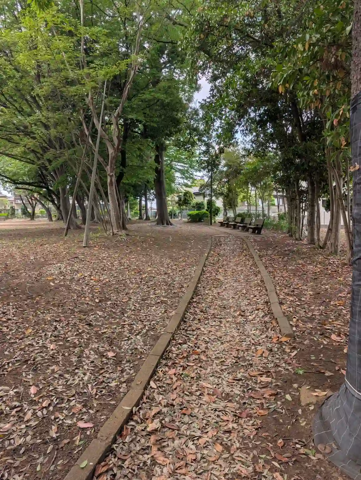 木陰のある園内