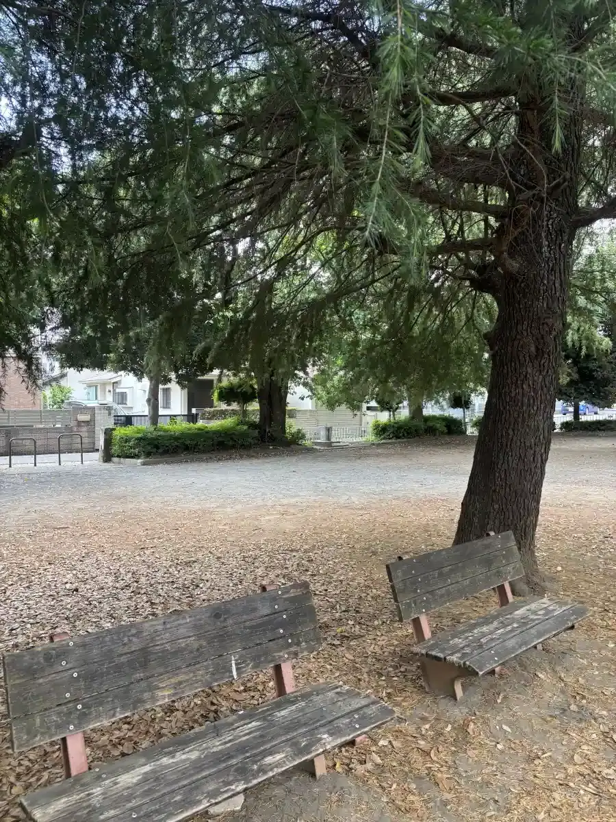 ベンチ
