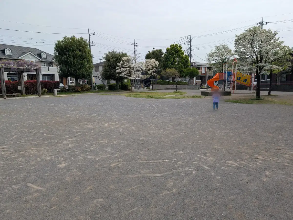 野馬公園の全景