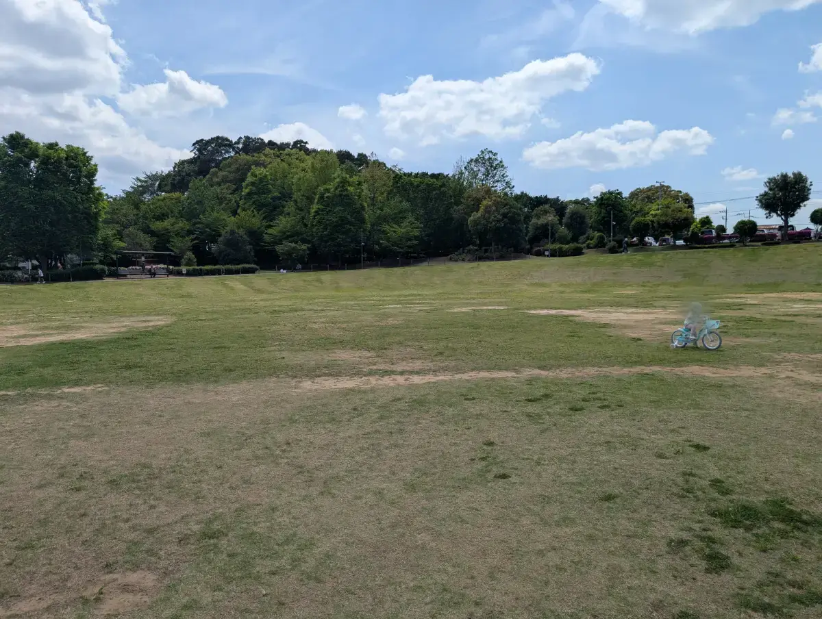 柏リフレッシュ公園の広場