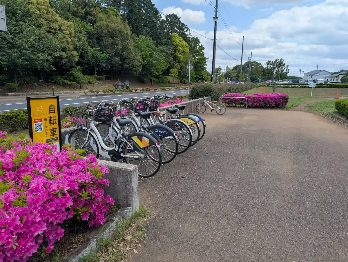 レンタル自転車エリア