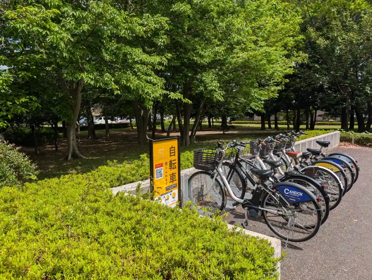 南側のレンタル自転車エリア