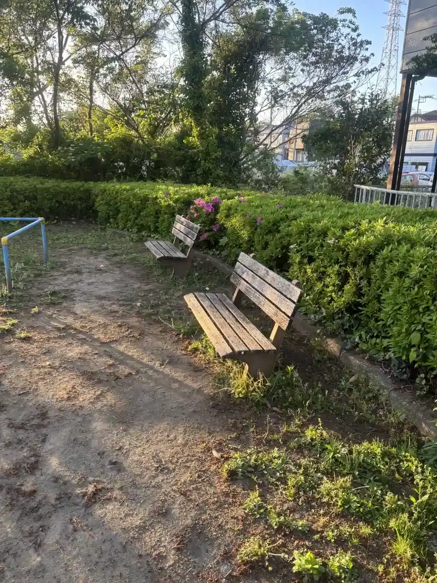 ベンチ