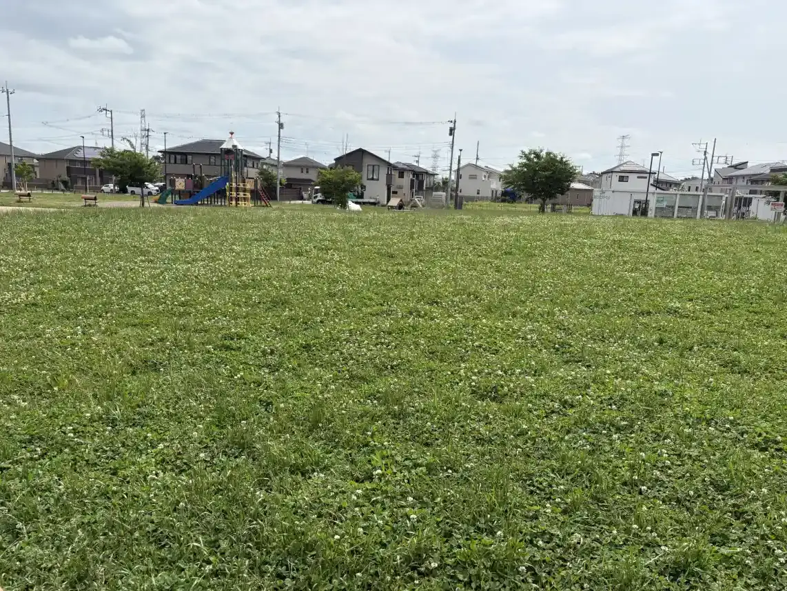公園の芝生エリア