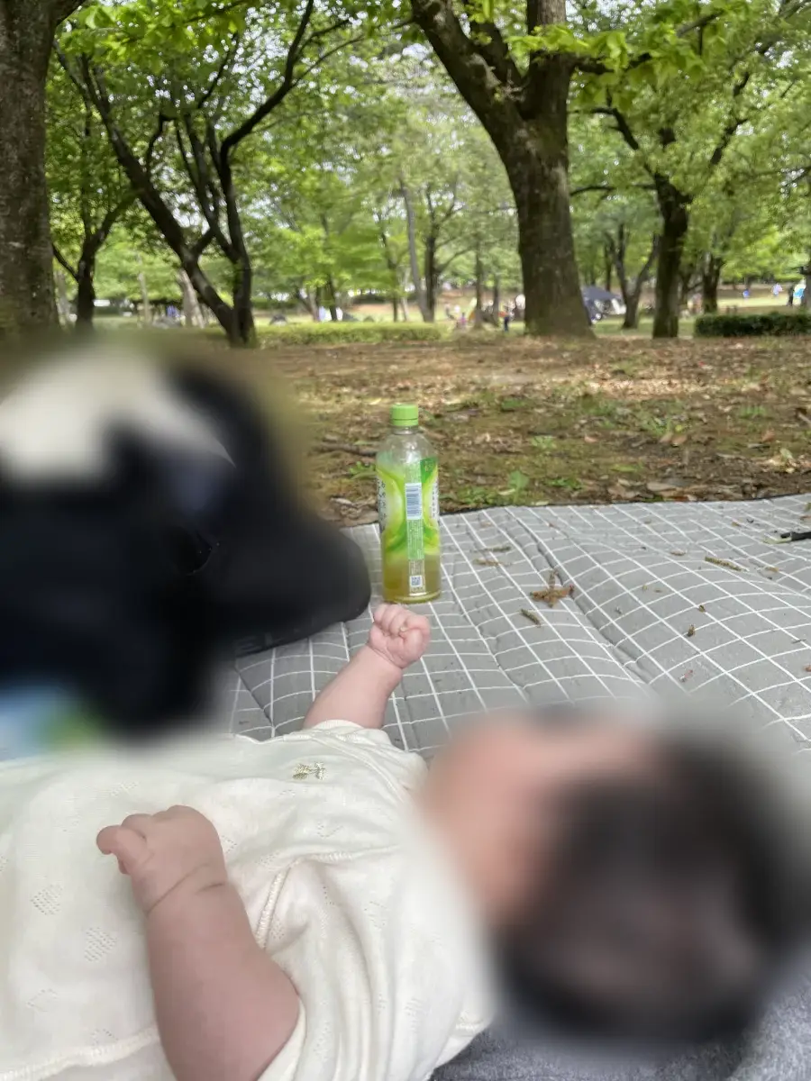 林の中で眠る赤ちゃん