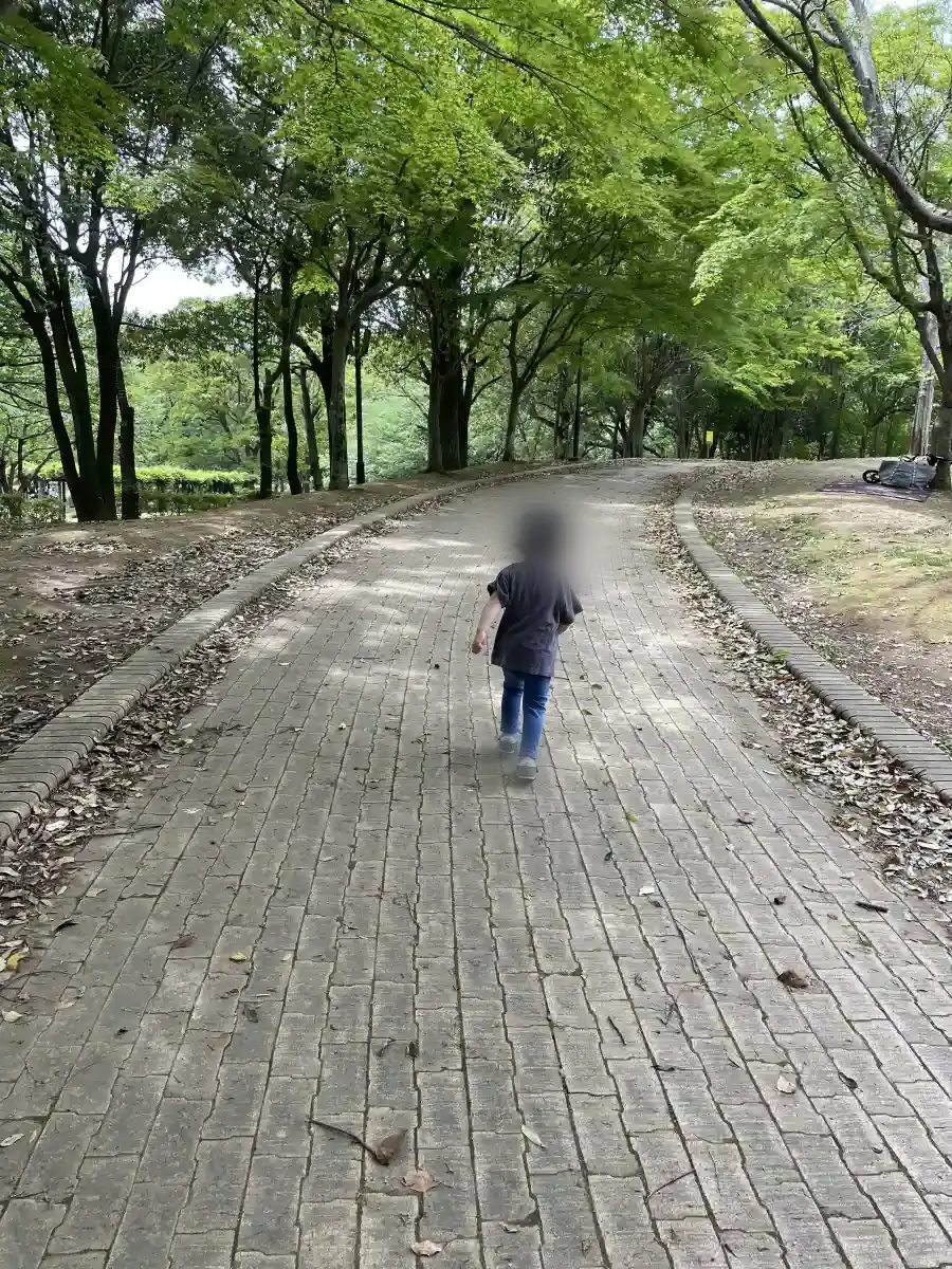 柏の葉公園の遊歩道