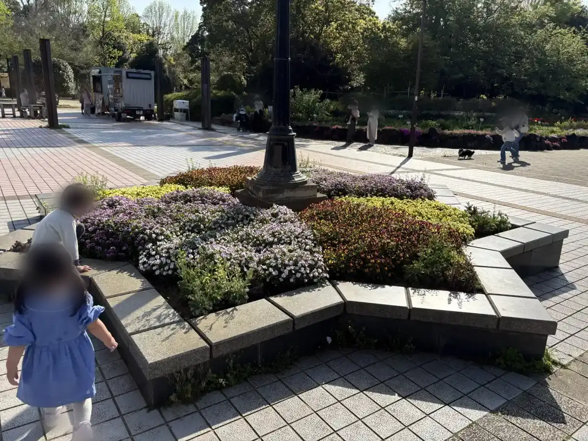 柏の葉公園の花壇