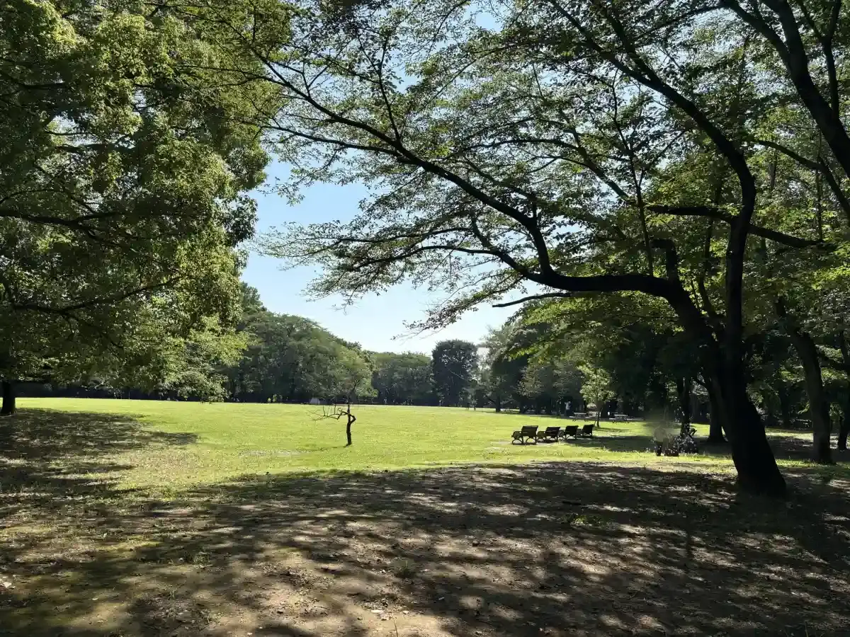 柏の葉公園の桜の広場