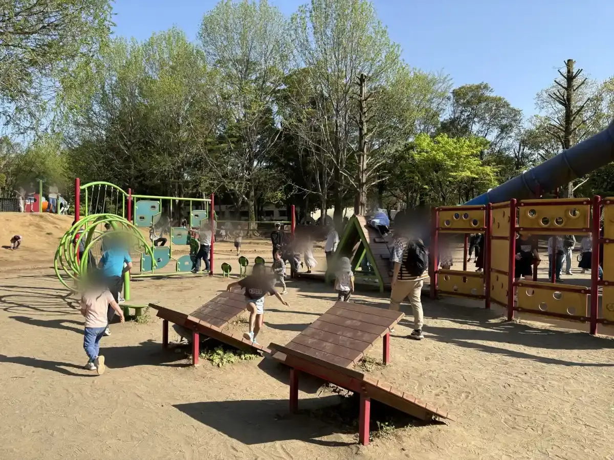 柏の葉公園の大型複合遊具周辺にある遊具