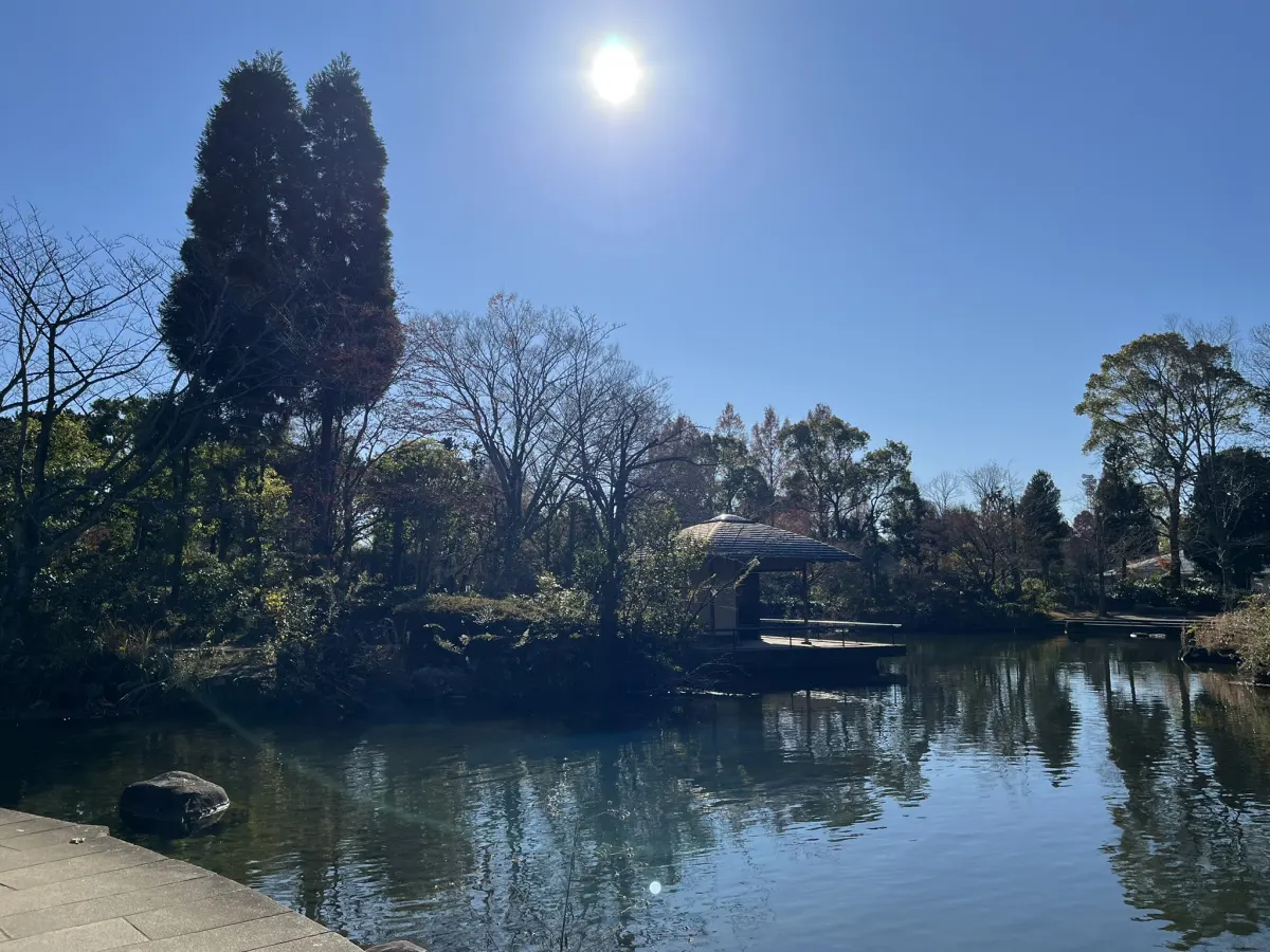 柏の葉公園の池