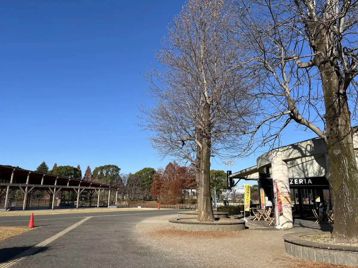 KASHIWA BBQ BASE の売店