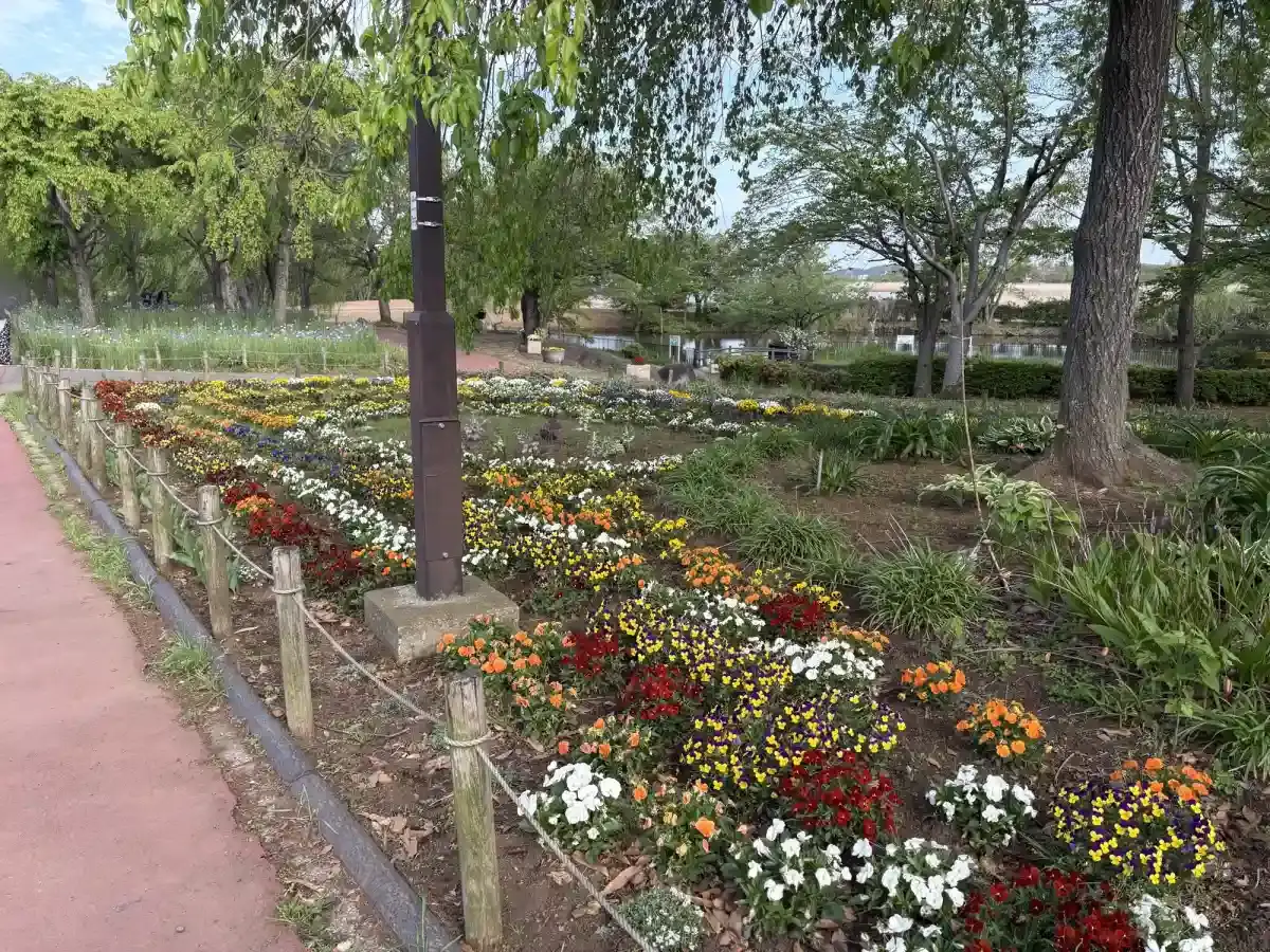 花壇