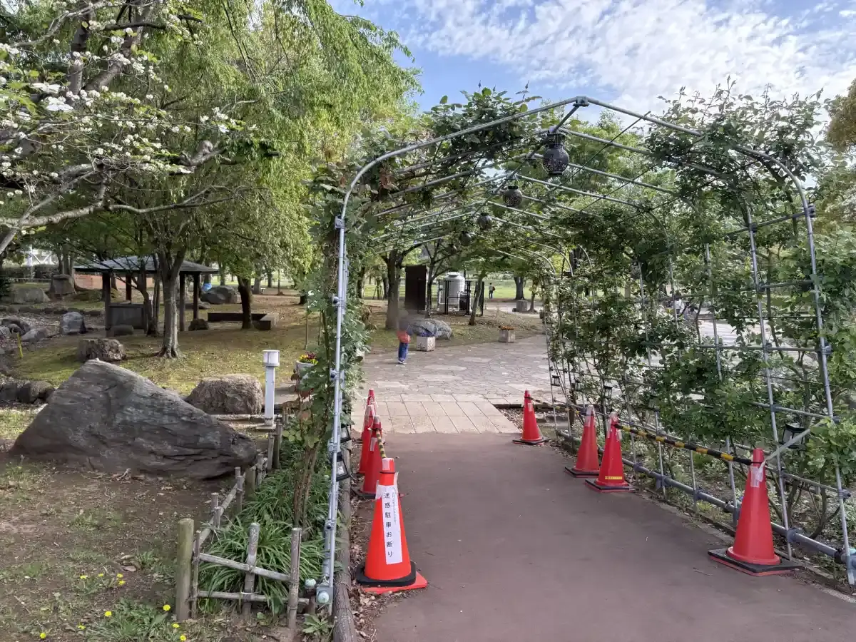 入口を入ってすぐの景色