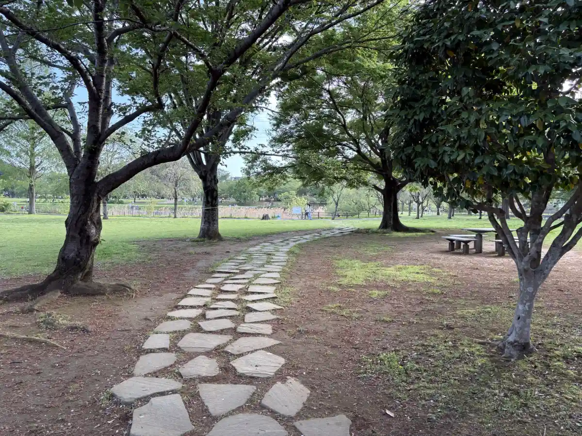 石畳の遊歩道
