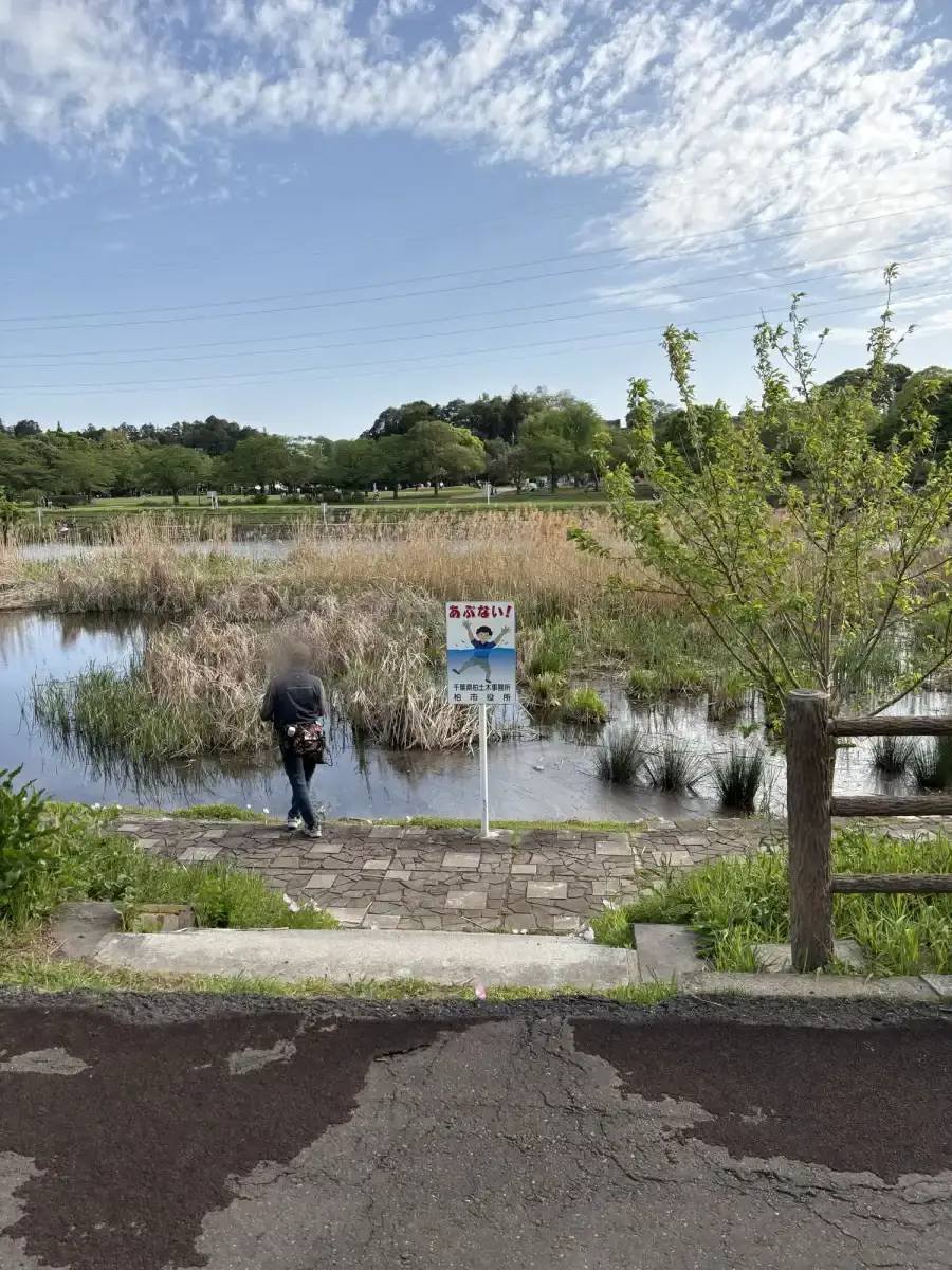 水辺の注意看板