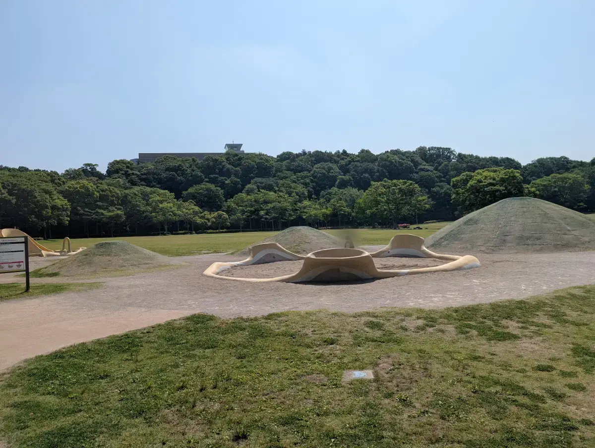 21世紀の森と広場のあそびのすみかにあるジオマウンテン