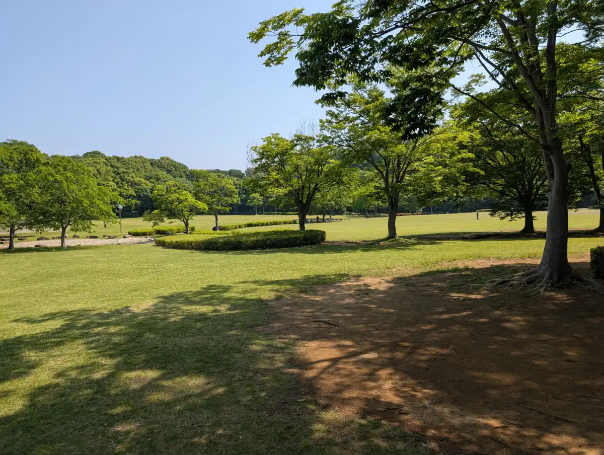 21世紀の森と広場の光と風の広場の開放的な芝生