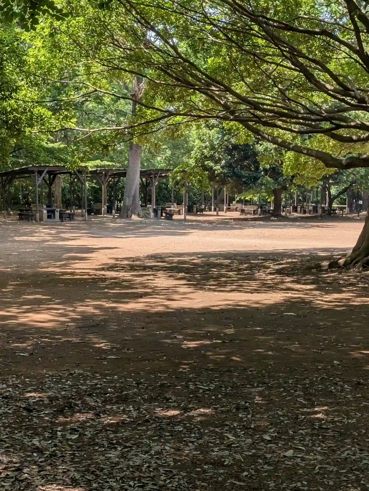 21世紀の森と広場の木もれ陽の森の野外炉