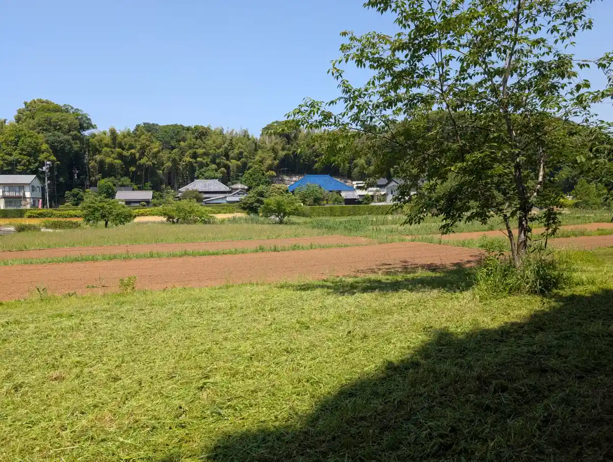 21世紀の森と広場のみどりの里の田園風景