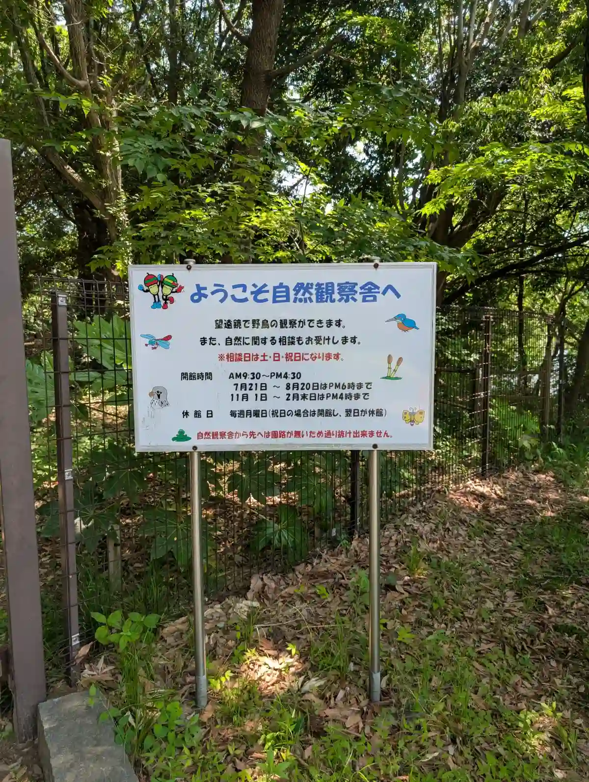 21世紀の森と広場の自然観察舎