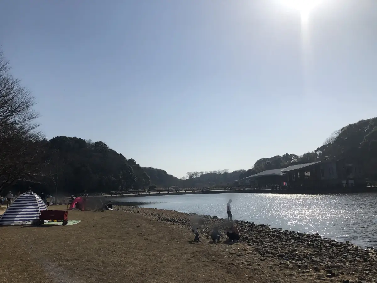 千駄堀池で遊ぶ様子