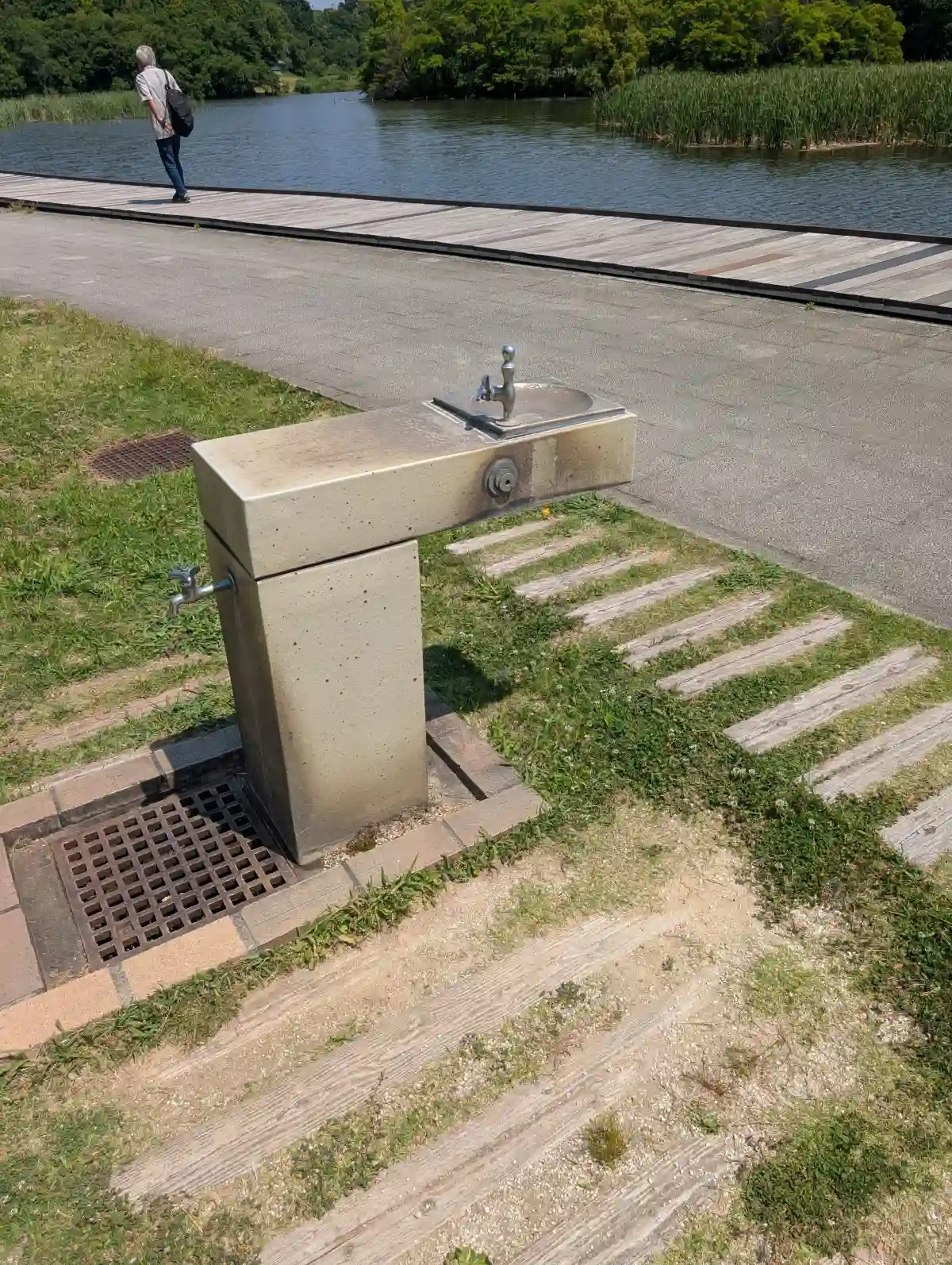 21世紀の森と広場の西駐車場近くの水道