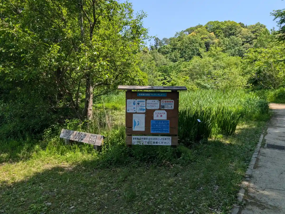 21世紀の森と広場の野草園入口
