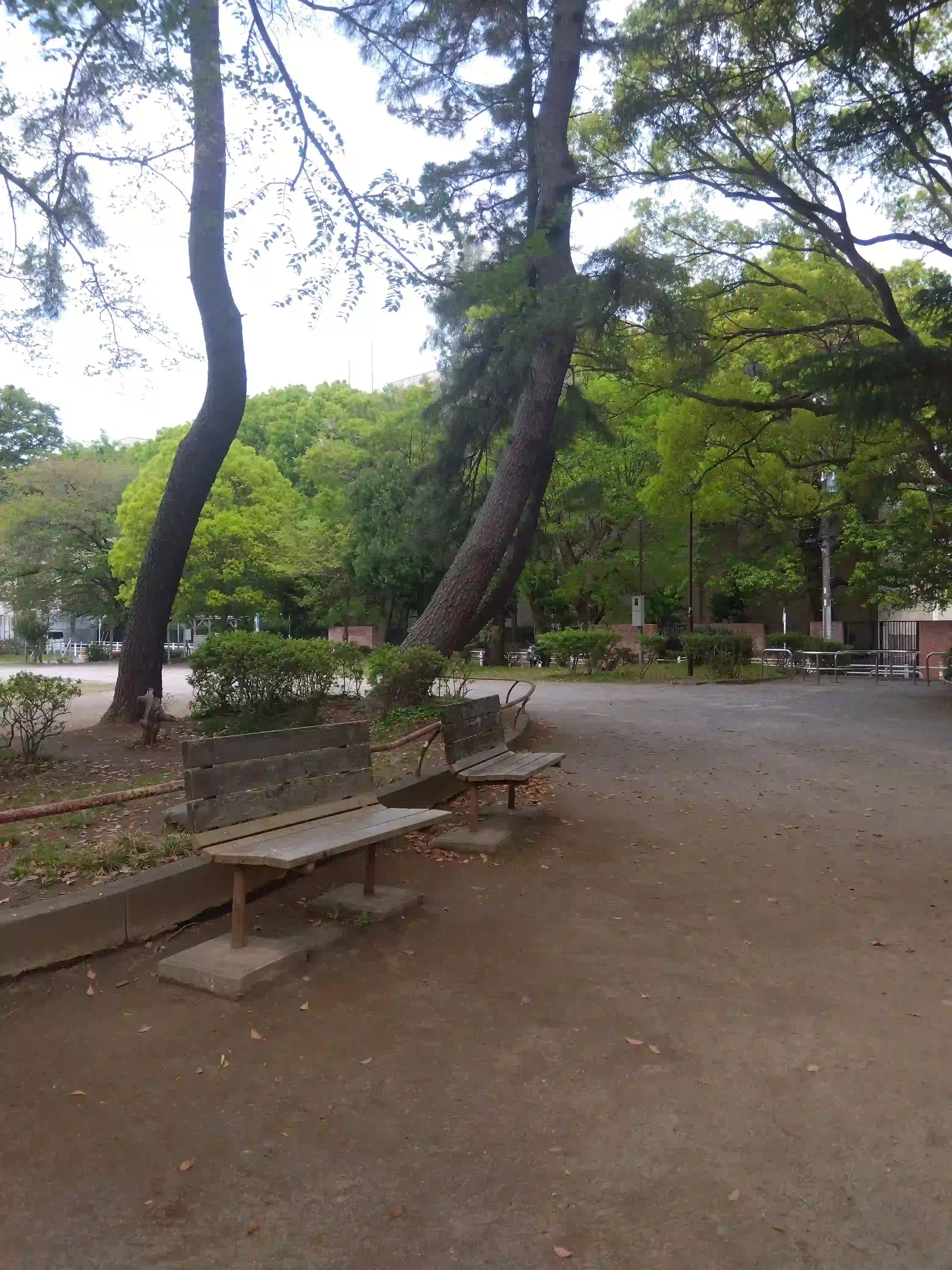 松戸中央公園のベンチ